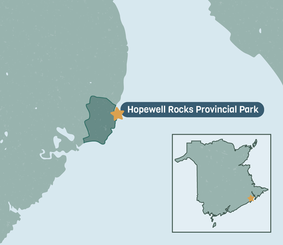 Hopewell rocks provincial park